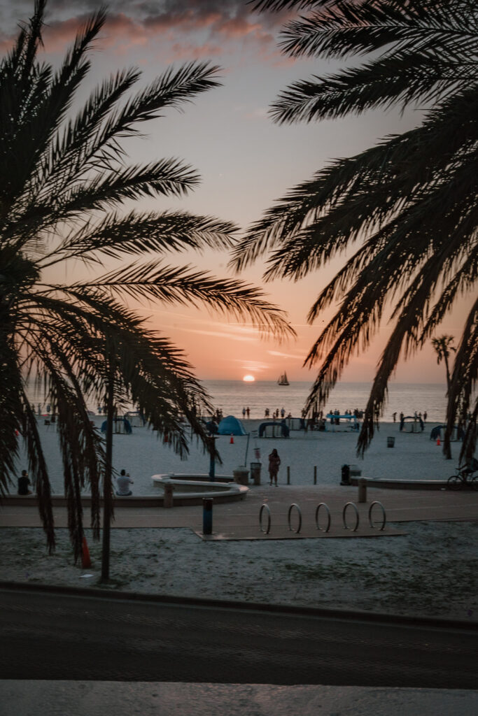 sun setting on the water at clearwater beach, florida