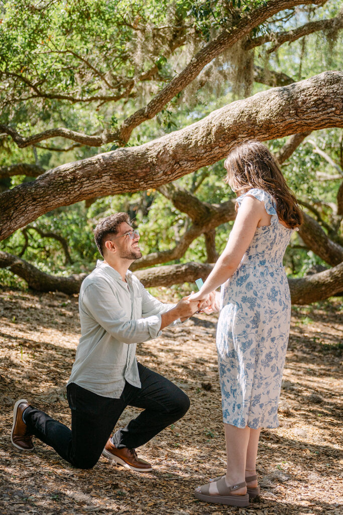 Philippe Park proposal Tampa Bay Proposal