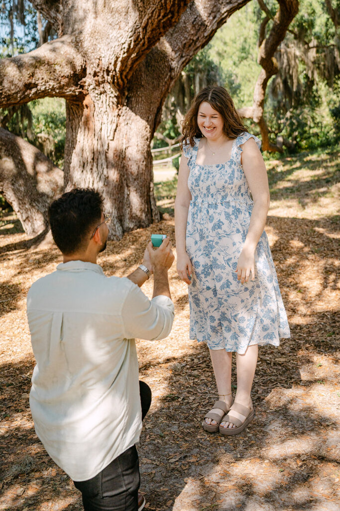 Philippe Park proposal Tampa Bay Proposal