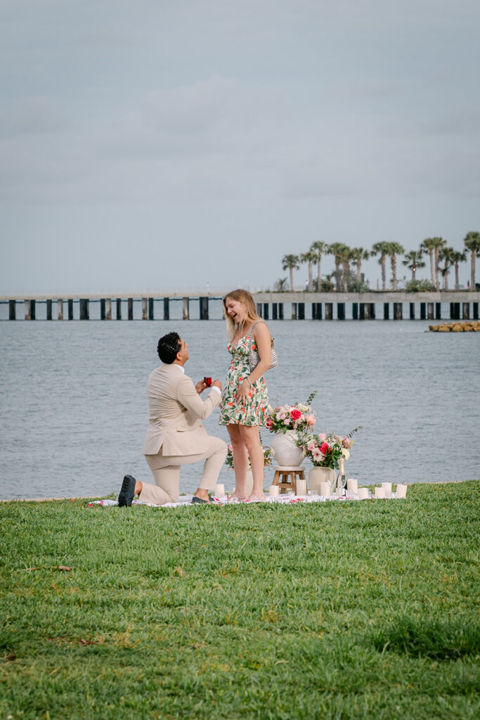 proposal at vinoy park st petersburg, Florida